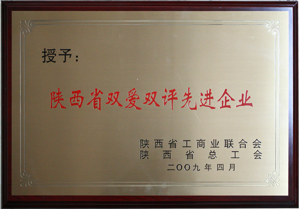 2009年陕西省双爱双评先进企业